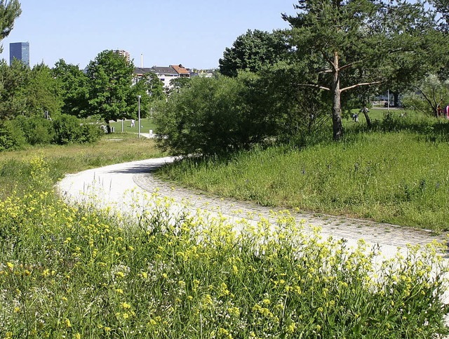 Grnanlagen wie  der St. Johanns-Park sind wichtig   | Foto: ZVG