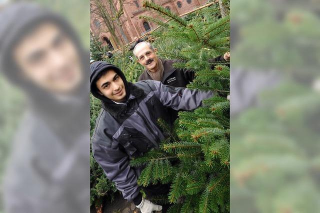 Kein rger mehr: Christbaumverkauf wurde neu geregelt