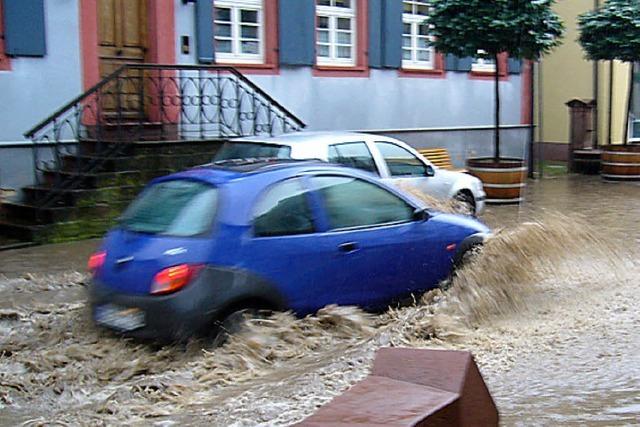 Das Kursbuch 2014 liegt jetzt vor