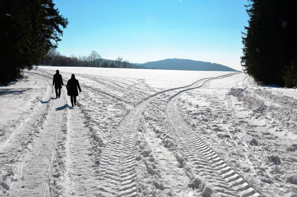 Mrz: Spter Winter in Oberbiederbach (Richtung Schutterquelle)