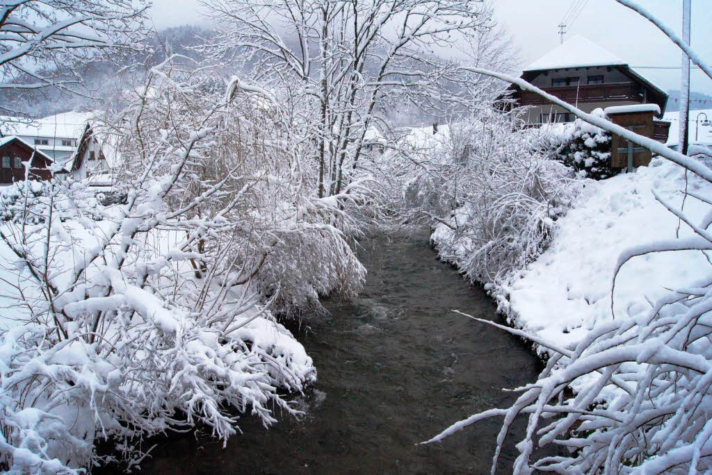 Februar: Oberprechtal im Schnee.