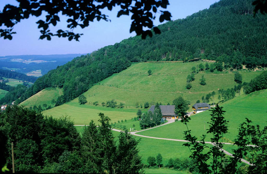 Mrz: Der Gemeinderat Elzach legt die Prioritten der Waldnutzung fr die nchsten zehn Jahre fest.