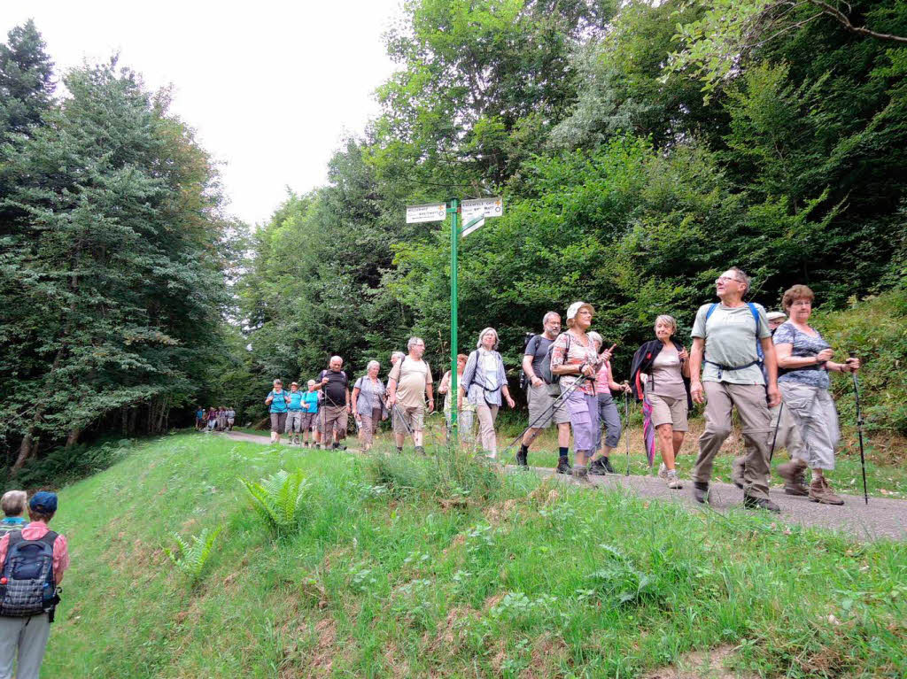 August: Wandertag des Club Vogesien und des Schwarzwaldvereins Elzach.