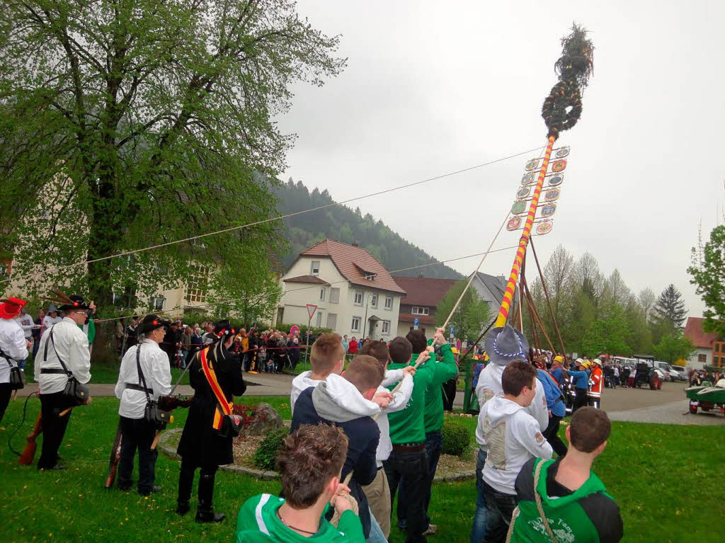 Mai: Maibaum aufstellen in Bleibach.