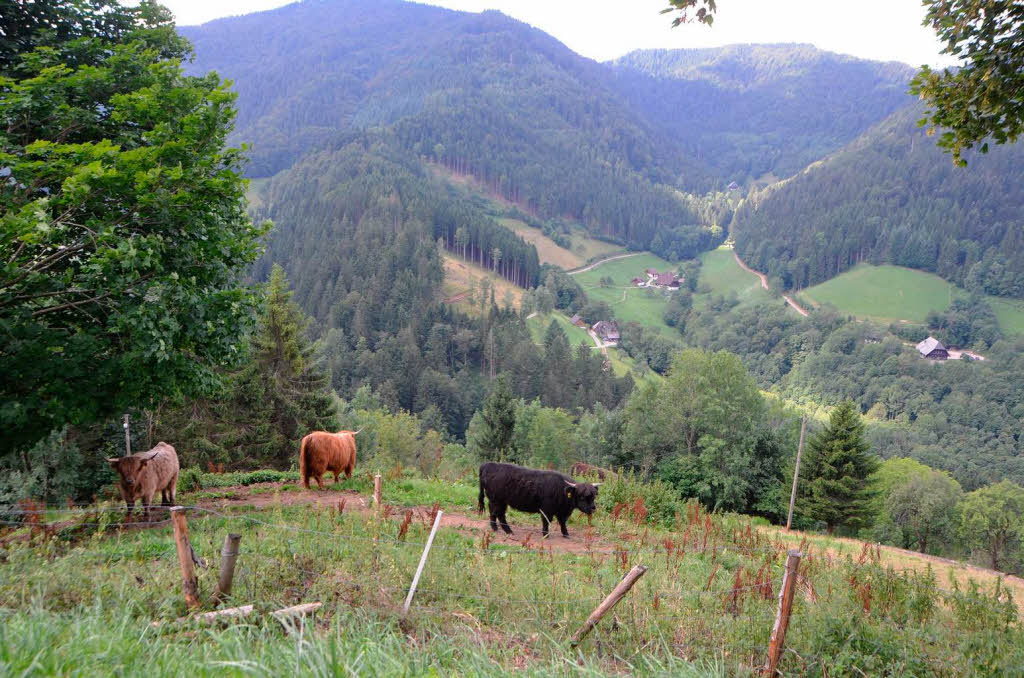 August: Zweitlerlblick in Obersimonswald.