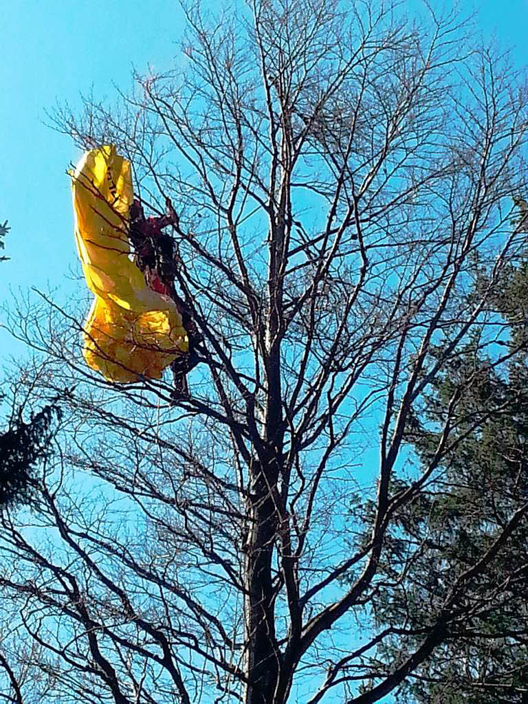 Juli: Nicht das erste Mal in diesem Jahr und nicht das letzte: Die Bergwacht rettet einen Gleitschirmflieger aus dem Baum.