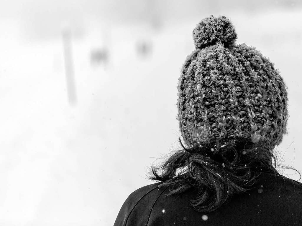 Frischer Schnee auf dem Schauinsland