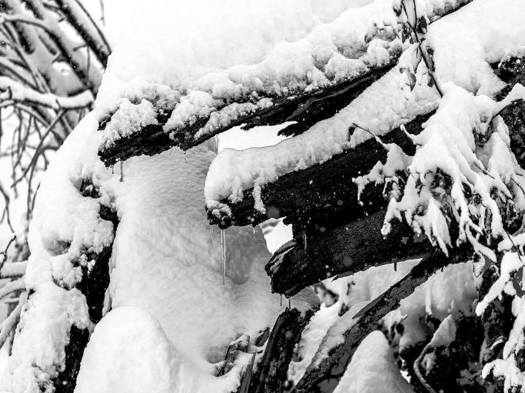 Frischer Schnee auf dem Schauinsland