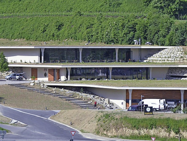 Das neue Weingut von Fritz Keller fgt sich harmonisch in die Landschaft ein.    | Foto: gerold zink