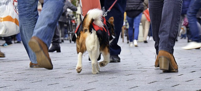 Nachweihnachtlicher Einkaufsbumnmel in...icherlich noch etwas fr den Hund ab.   | Foto: Nikolaus Trenz