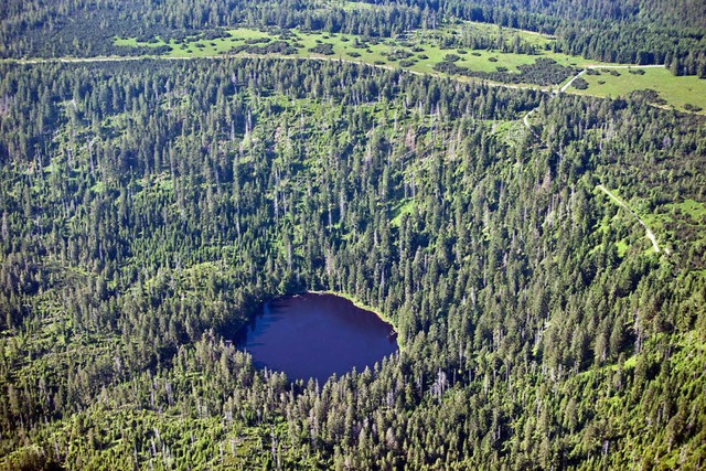 Natur, die weitgehend sich selbst ber...steht der erste Nationalpark im Land.   | Foto: Grohe/Dpa/Gilg