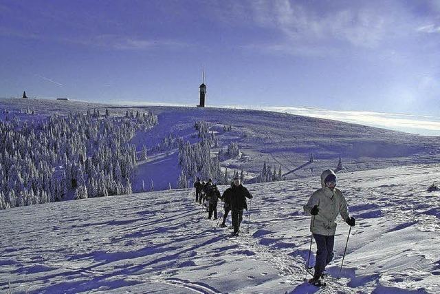 Schneeschuhtouren in Begleitung