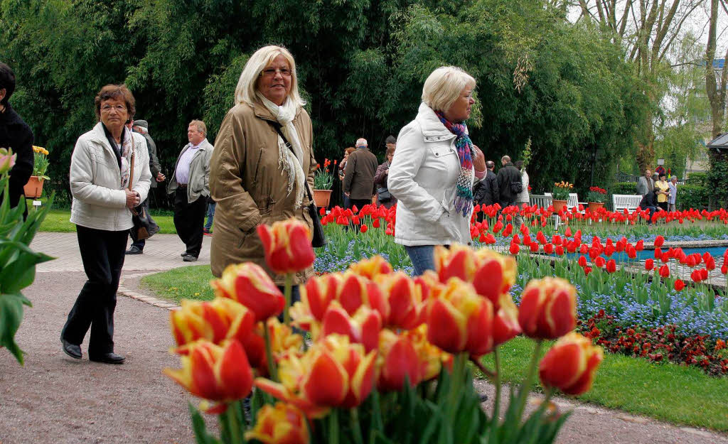 April: Tulpensonntag im Stadtpark