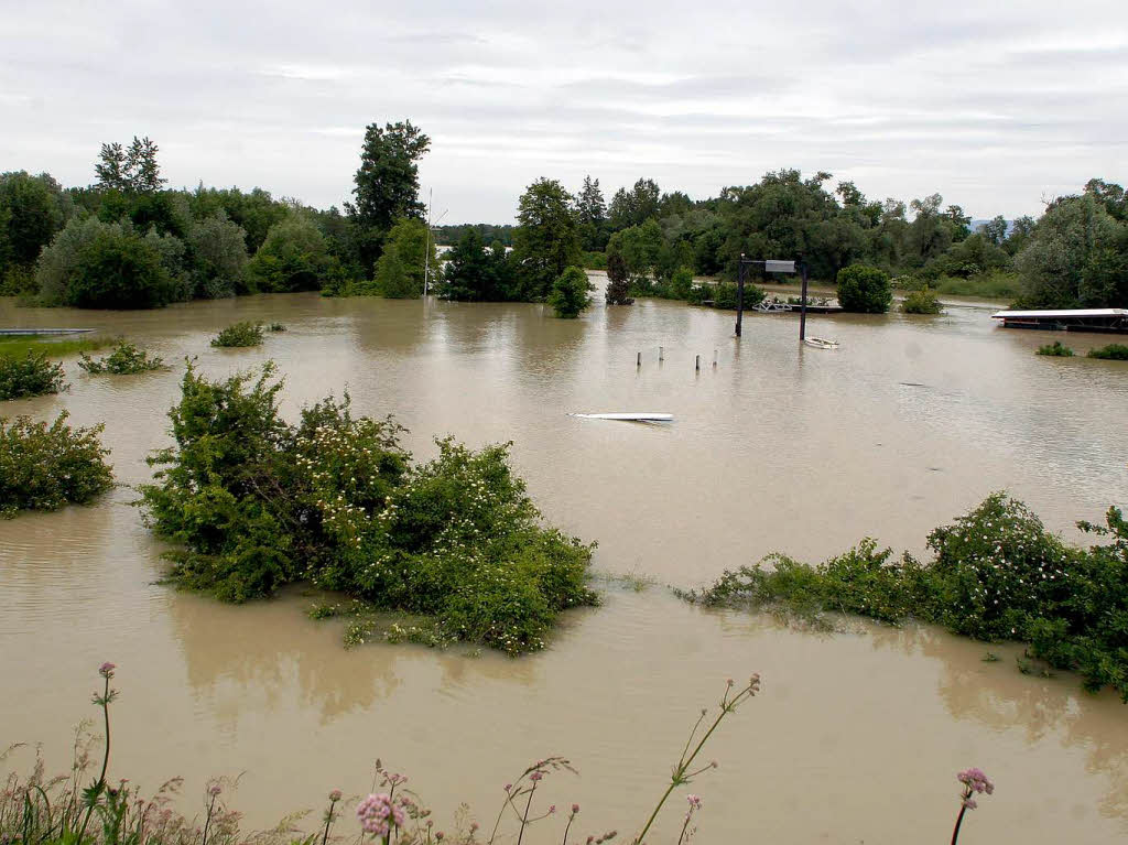 Im Juni wird der Altenheimer Polder geflutet.