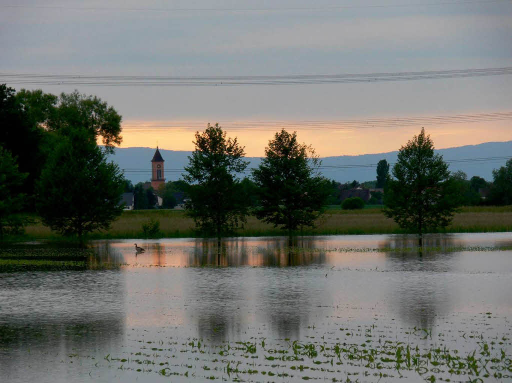 Landwirtschaftliche Flchen stehen zum Teil ber Wochen unter Wasser, hier bei Neuried.