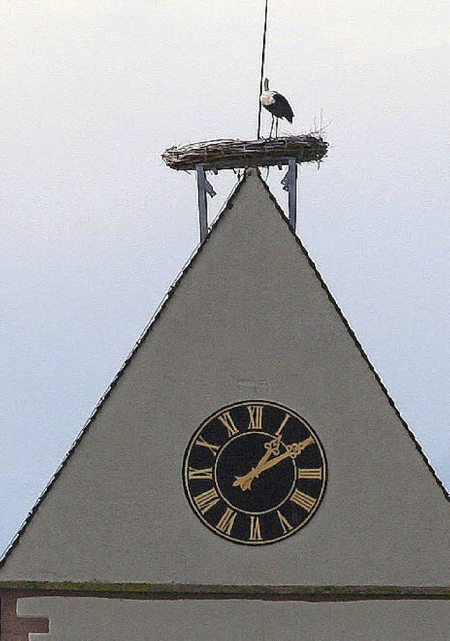 Ein lang gehegter Wunsch erfllte sich...enommenen Nisthilfe fr einen Storch.   | Foto: Cremer