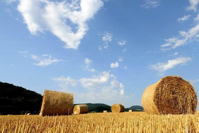 Klimawandel trifft Landwirte am Bodensee – EU-Projekt soll helfen