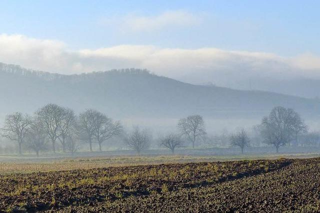 NUR EIN HAUCH VON WINTER