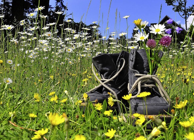 Die Ortsgruppe Mllheim-Badenweiler de...014 zu interessanten Wandertouren ein.  | Foto: fotolia.com/Fleckl