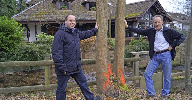 Zusammendrcken ntzt  nichts mehr: Di... haben, diesen Winter gefllt werden.   | Foto: Silke Hartenstein