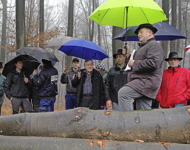 Regenschirme bestimmten das Bild bei d...e kamen trotz des schlechten Wetters.   | Foto: Regine Ounas-Krusel