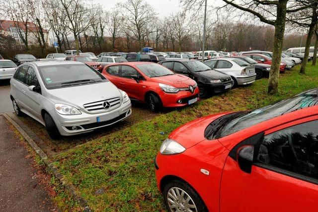 Grnstreifen sind nicht zum Parken da