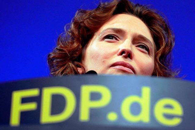 FDP will die Basis mitreden lassen