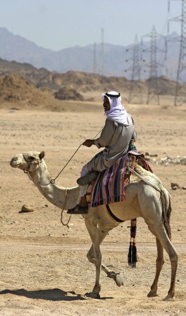 TO GO WITH AFP STORY BY SAMER AL-ATRUSH  | Foto: AFP-Partnerbilder