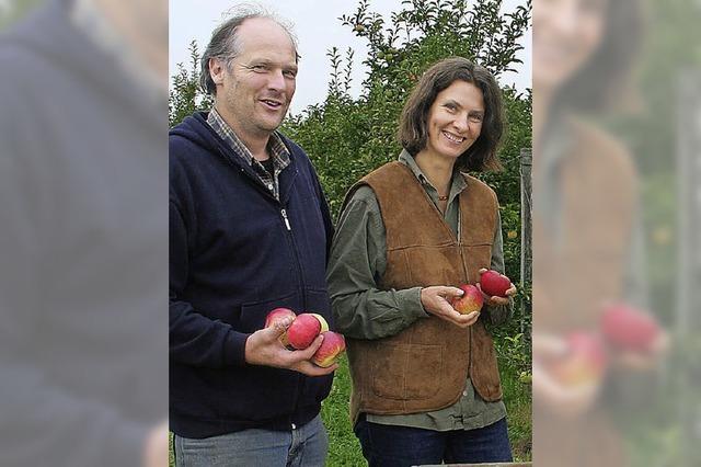 Auf dem Sdhof in Denzlingen ist der Topaz der meistverkaufte Apfel