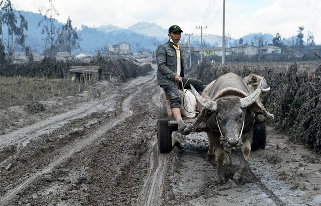   | Foto: AFP