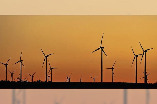 Windanlagenbetreiber Prokon droht Anlegern mit Insolvenz