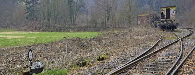 Nicht ins Abseits, sondern auf den Abz...is links am Kanderner Christianswuhr.   | Foto: Markus Maier