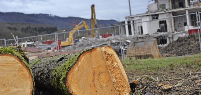 Beim Abriss des Moonlight-Gebudes in Wehr wurden auch Bume gefllt  | Foto: Krug