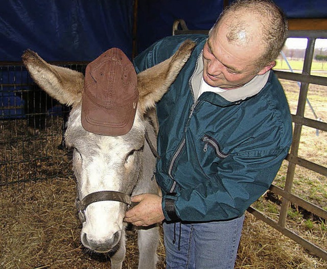 Fasst nach dem Brand des Zirkuswagens ...ilienzirkus Lamberti mit Esel Moritz.   | Foto: karin wortelkamp