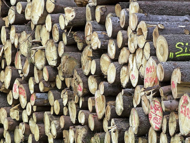 Weltweit ist die Nachfrage nach Holz g...me  schon zu den Sgewerken gebracht.   | Foto: dpa