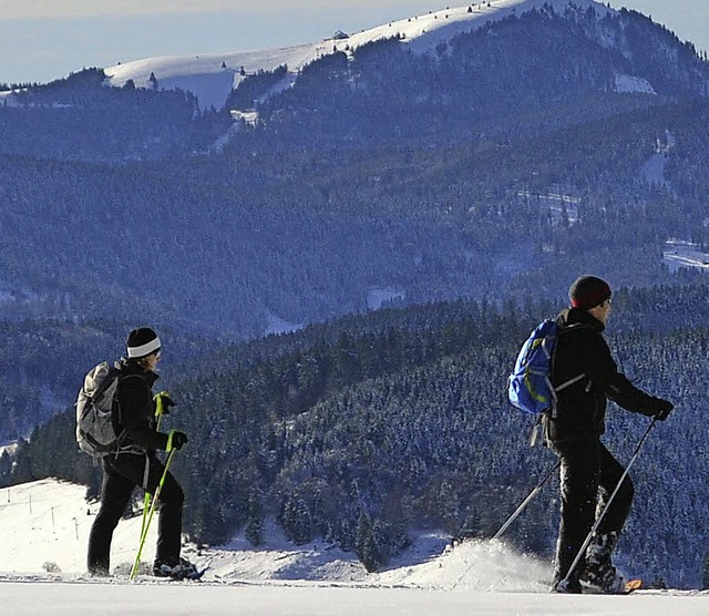 Auch eine Schneewanderung bietet der  Schwarzwaldverein Zell dieses Jahr an.   | Foto: paul Berger