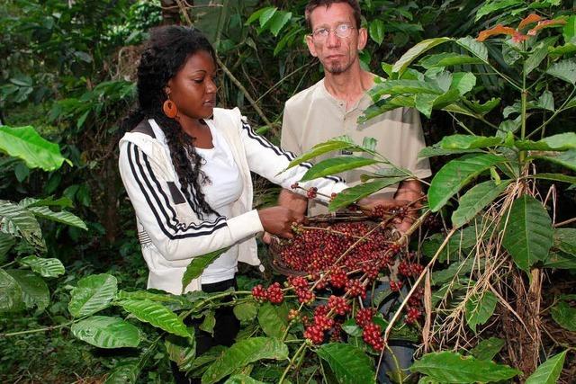 Paar importiert Kaffee der Familie aus Kamerun