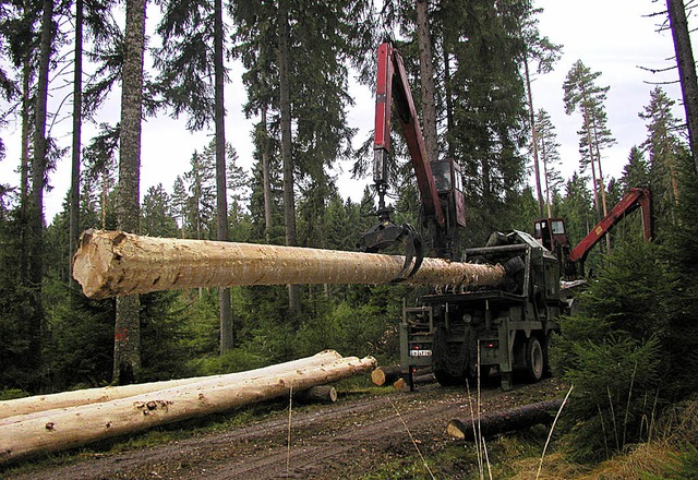 Forstmaschinen sind fr die Holzernte ...gen, die manchen Gast nicht erfreuen.   | Foto: Privat