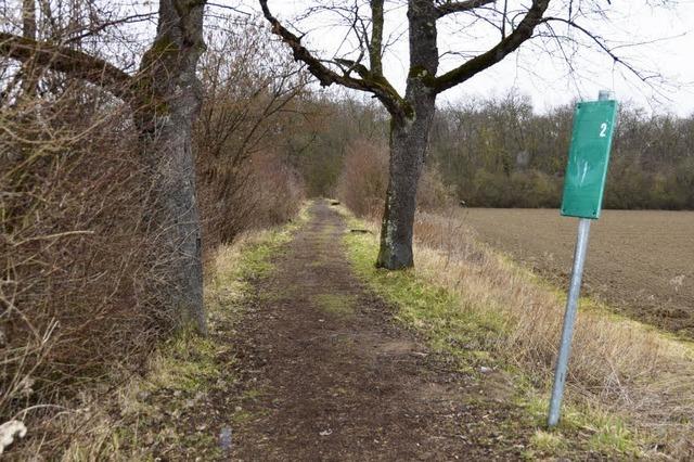 Neuer Anlauf fr Parcours