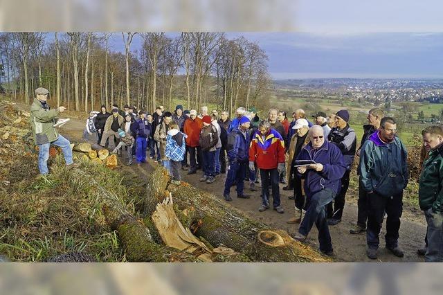 Wenn der Aufenthalt im Wald zum Genuss wird