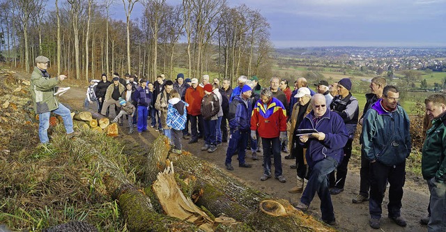 Holzversteigerung mit Aussicht auf Ml...olz aus dem Gemeindewald an den Mann.   | Foto: Silke Hartenstein