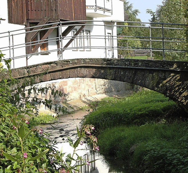 Idyllisch: Brcke ber den Degerfelder Dorfbach  | Foto: Martina Proprenter