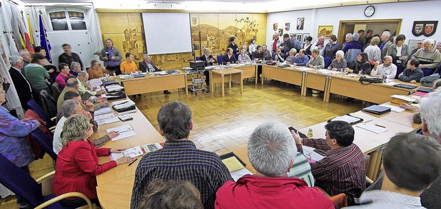 Am 25. Mai entscheiden die Brger ber... besuchten Ratssitzung in Herbolzheim.  | Foto: Archivfoto: Siegfried Gollrad