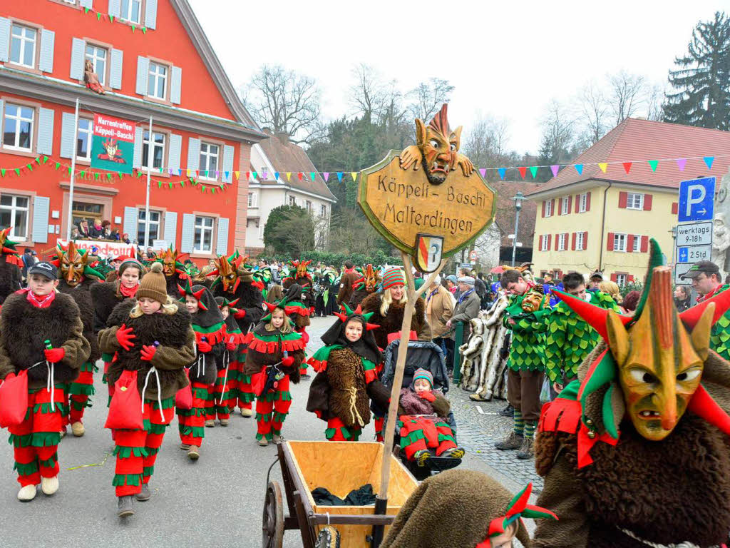 Impressionen vom Narrentreffen in Malterdingen.