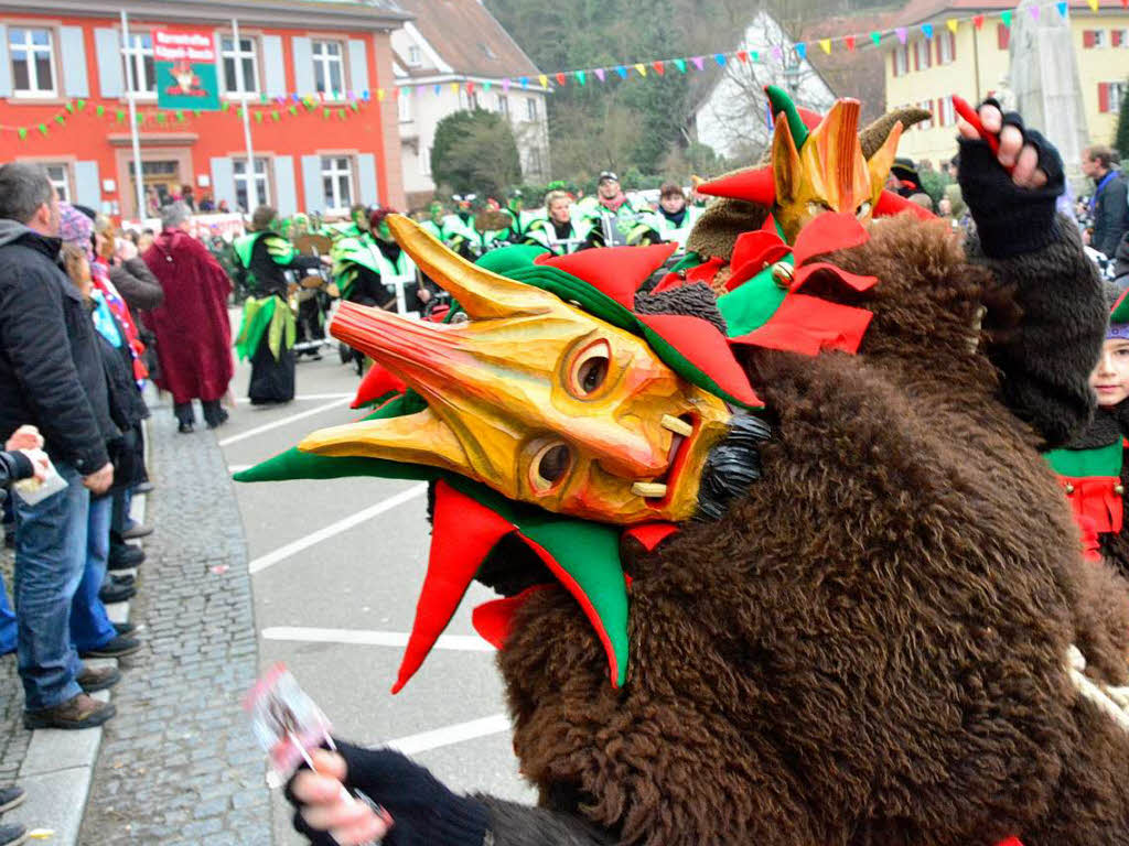 Impressionen vom Narrentreffen in Malterdingen.