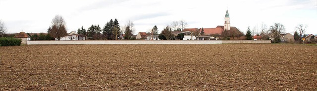 Diese  neue Flche nrdlich des Friedh...l fr Wohnbebauung erschlossen werden.  | Foto: Michael Haberer