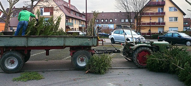 Breisacher Pfadfinder sammelten Christbume ein.   | Foto: privat