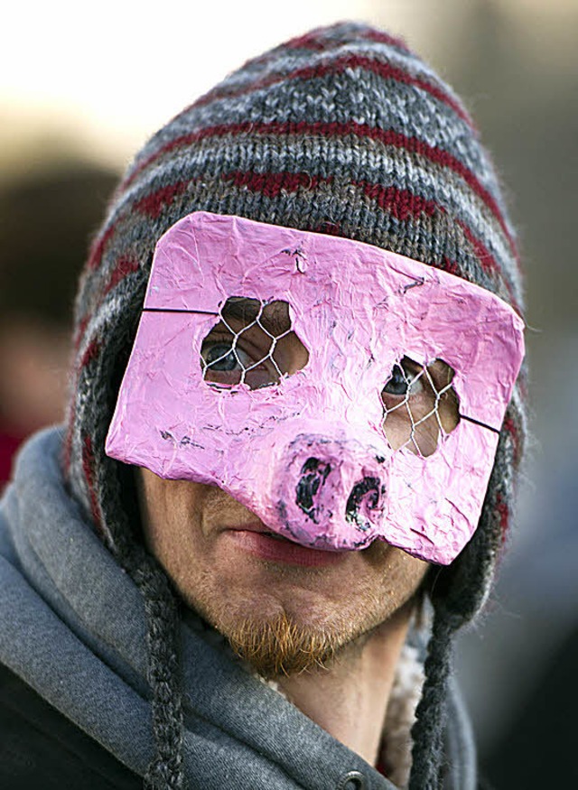 Schluss mit Schweinkram - ein Demonstrant in Berlin   | Foto: dpa