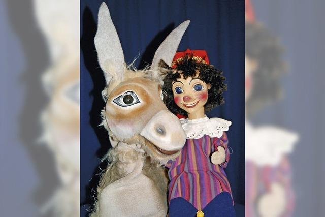 Freiburger Puppenbühne spielt „Der kleine König Eselsohr“