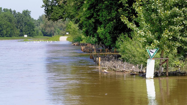 Beim kleinsten Hochwasser des Leopolds...s strmen die Fluten in den Rheinwald.  | Foto: Siegfried Gollrad